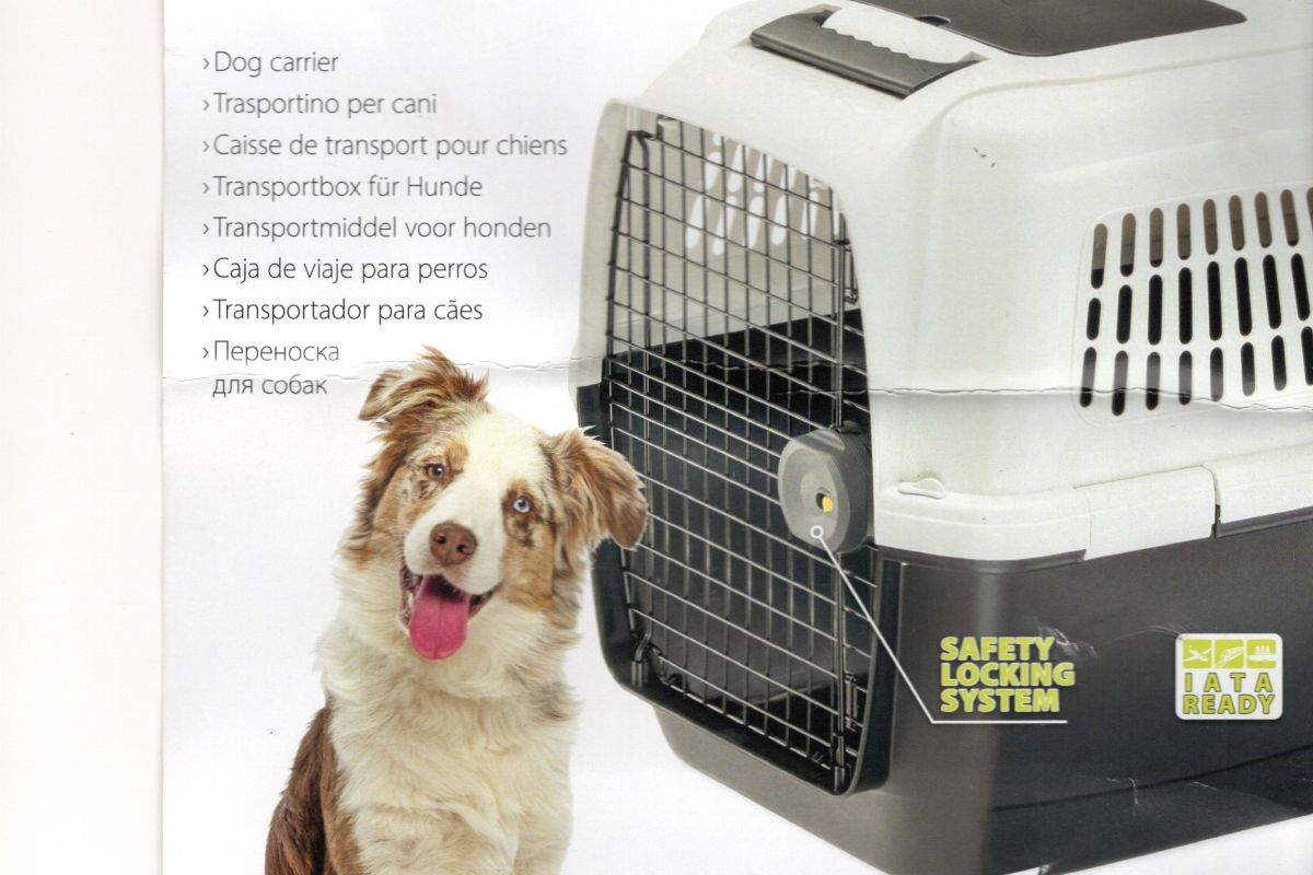 Cage de voyage pour chien