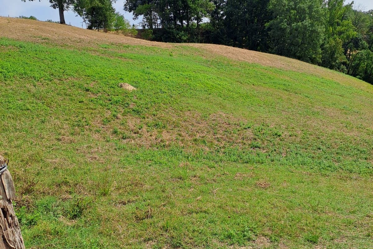 Photo 3 Terrain de loisir
