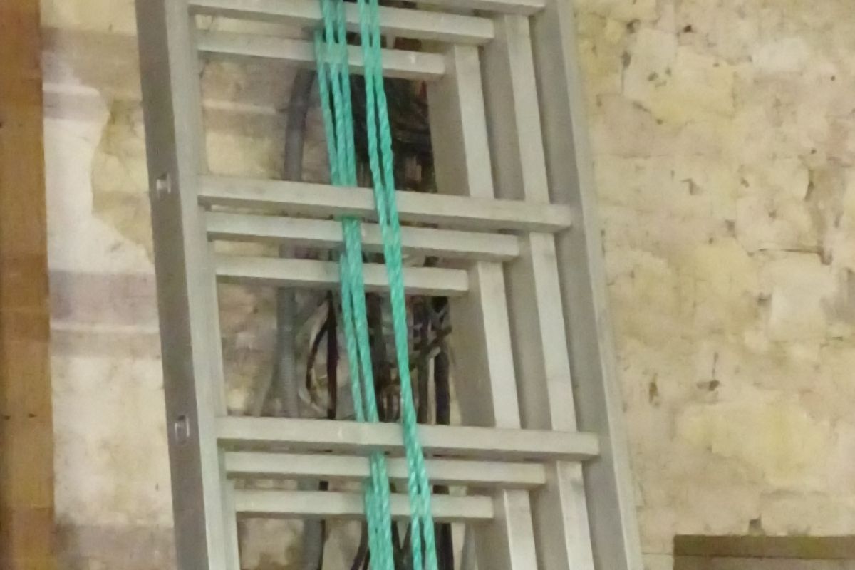 Echelle 3 plants