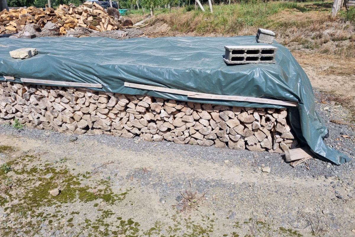 Bois de chauffage peuplier sec