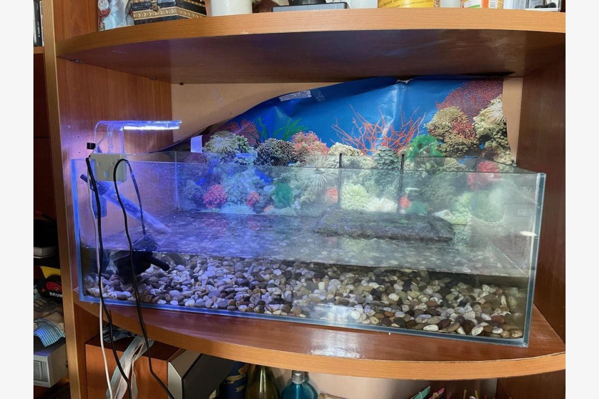 Grand aquarium