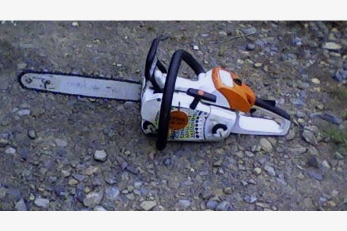Tronçonneuse Stihl MS 201