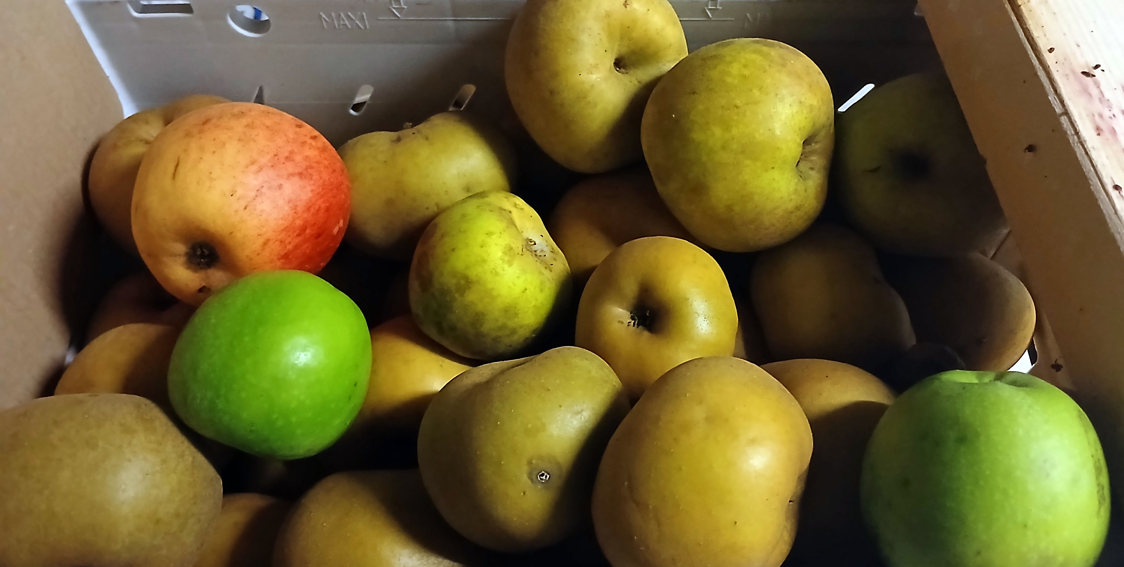 Pommes à couteaux