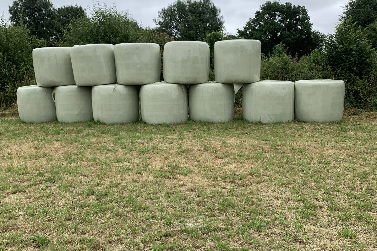 Foin enrubanné 