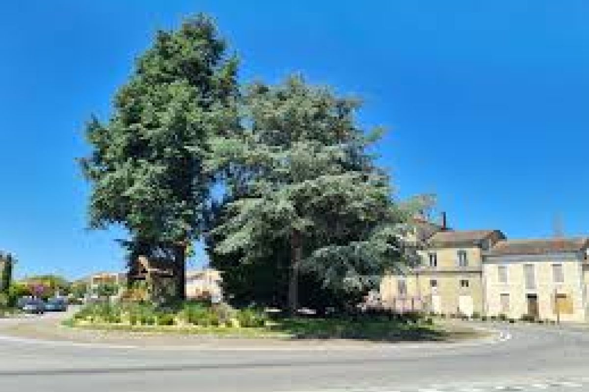 Photo 2 Garage / Garde meubles