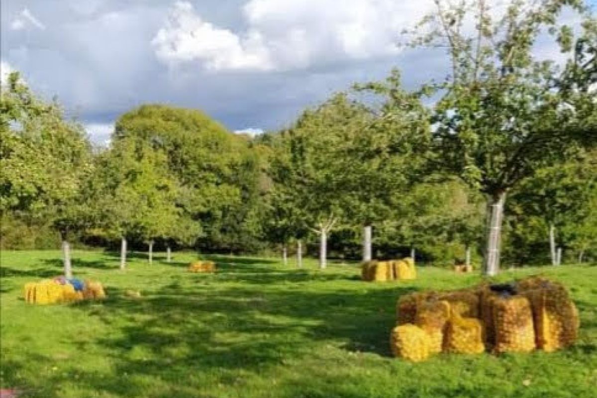 Photo 3 Cidre nouveau fermier soutiré 