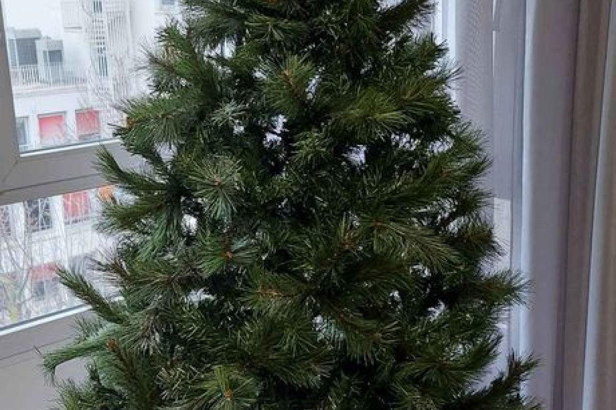 Photo 3 Nintendo et divers 