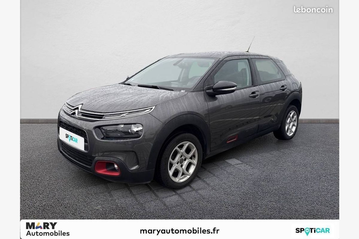 C4 Cactus Puretech