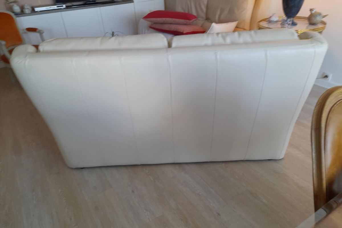 Photo 2 Canapé cuir 2/3 places