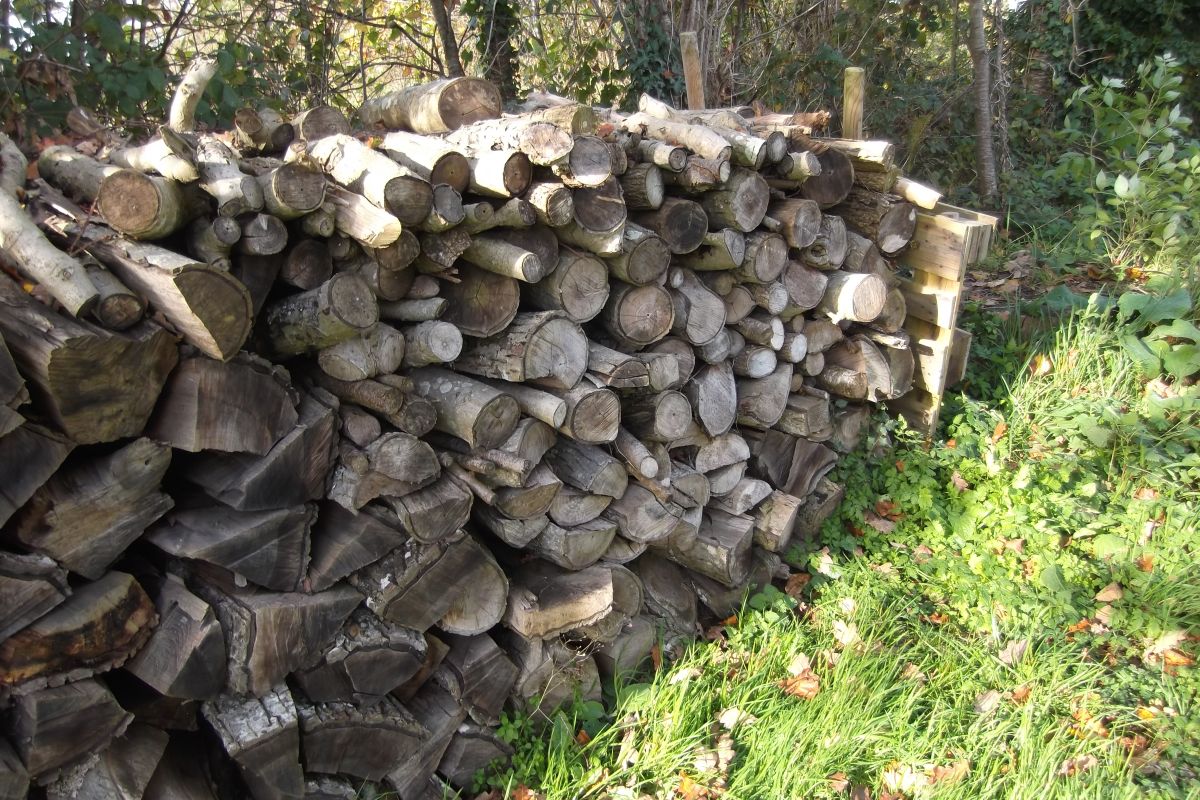 Photo 2 Vends bois de chauffage