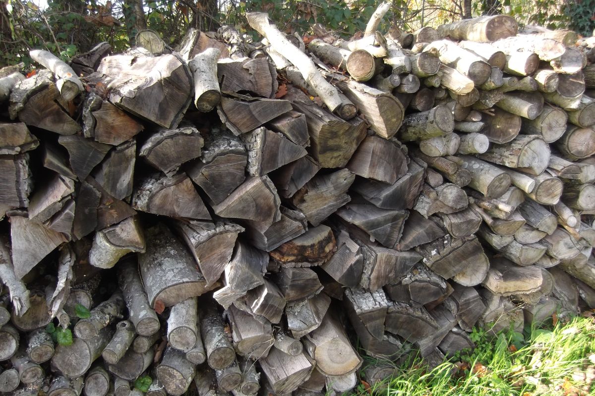 Vends bois de chauffage