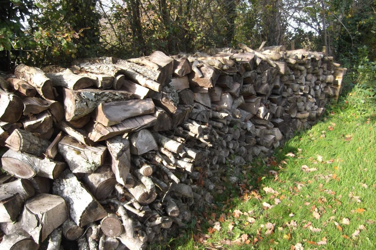Photo 3 Vends bois de chauffage