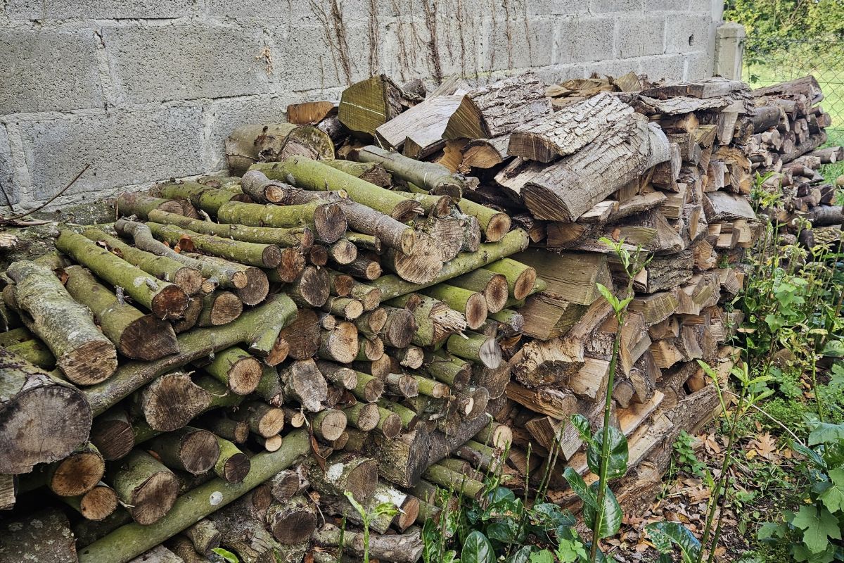 A vendre bois de chauffage