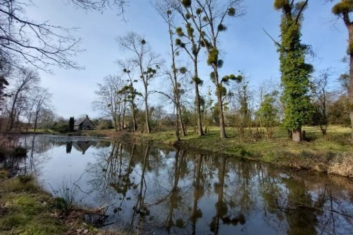 Photo 2 Idéal pour un investissement , un joli gîte avec son étang