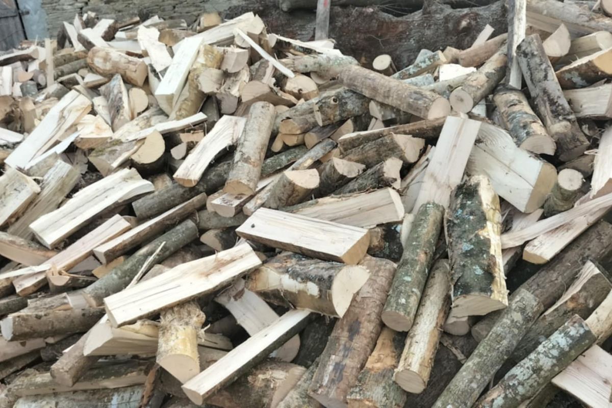 Bois de chauffage 
