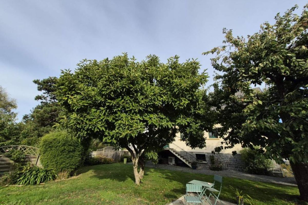 Photo 3 Maison individuelle