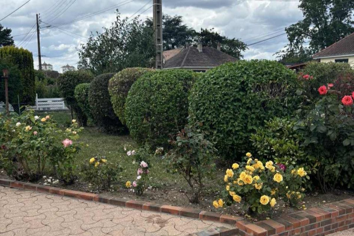 Photo 3 PAYSAGISTE Espace vert 