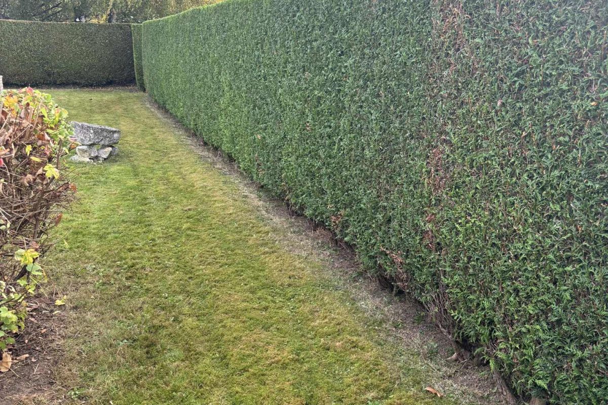 PAYSAGISTE Espace vert 