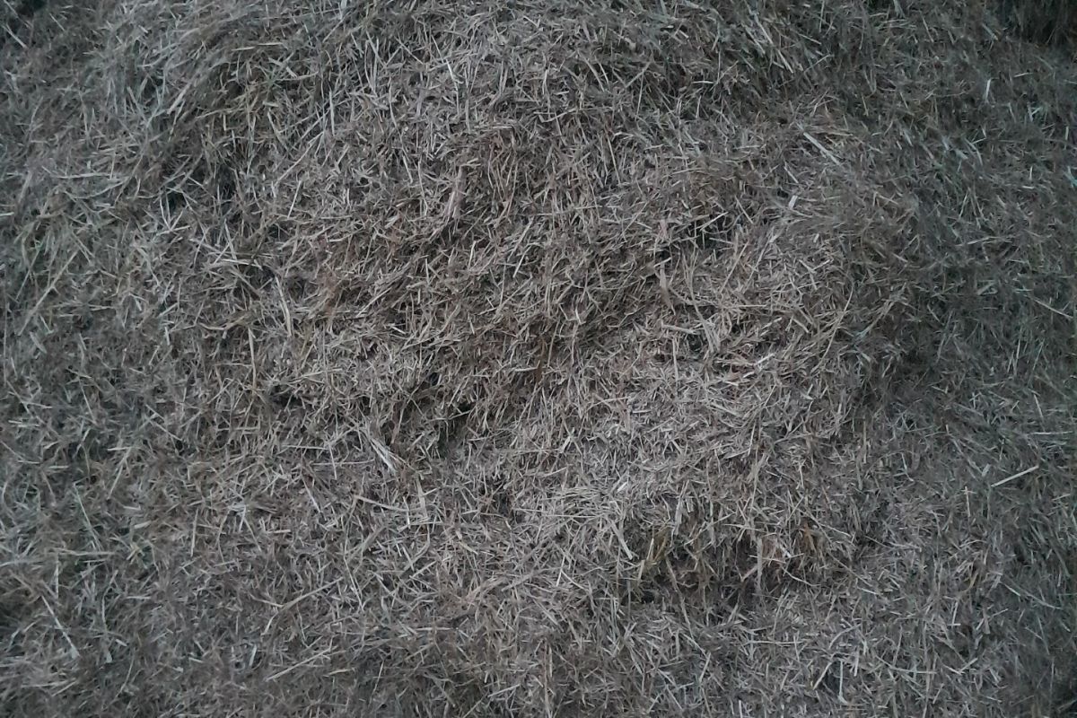 vente de foin broyé
