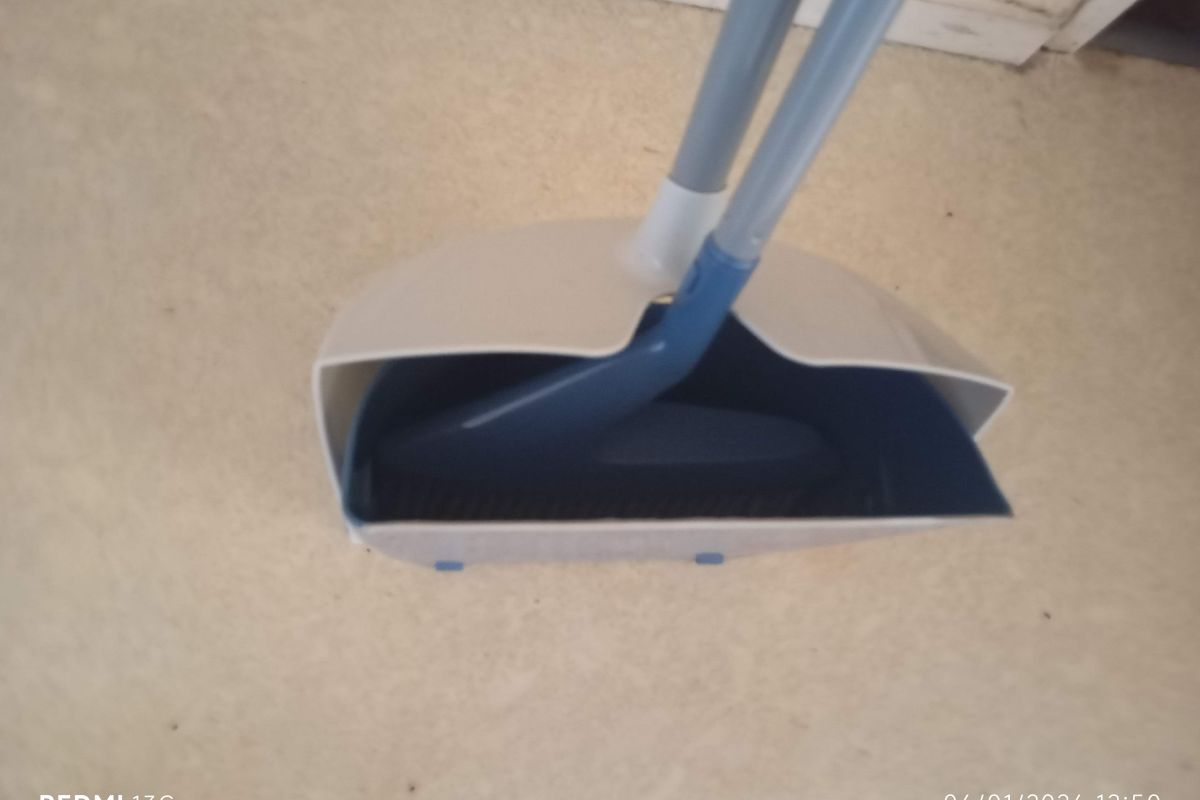 Photo 3 Pelle & Balayette 2 en 1