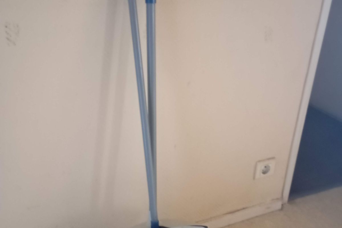 Pelle & Balayette 2 en 1