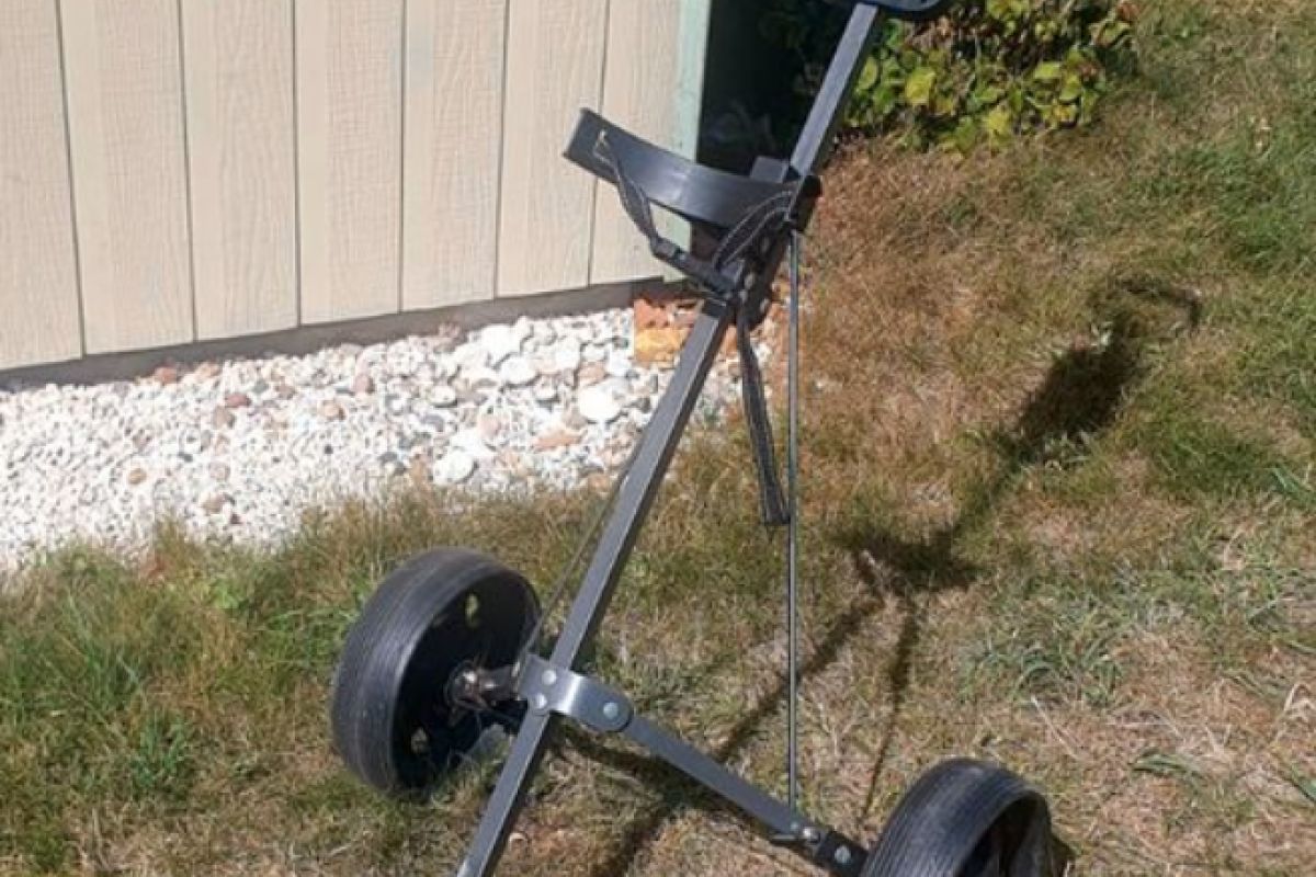 Photo 3 Chariot de golf