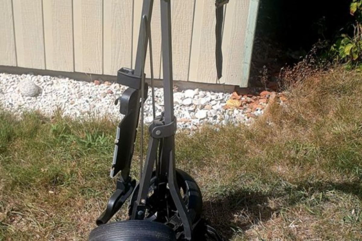 Photo 2 Chariot de golf