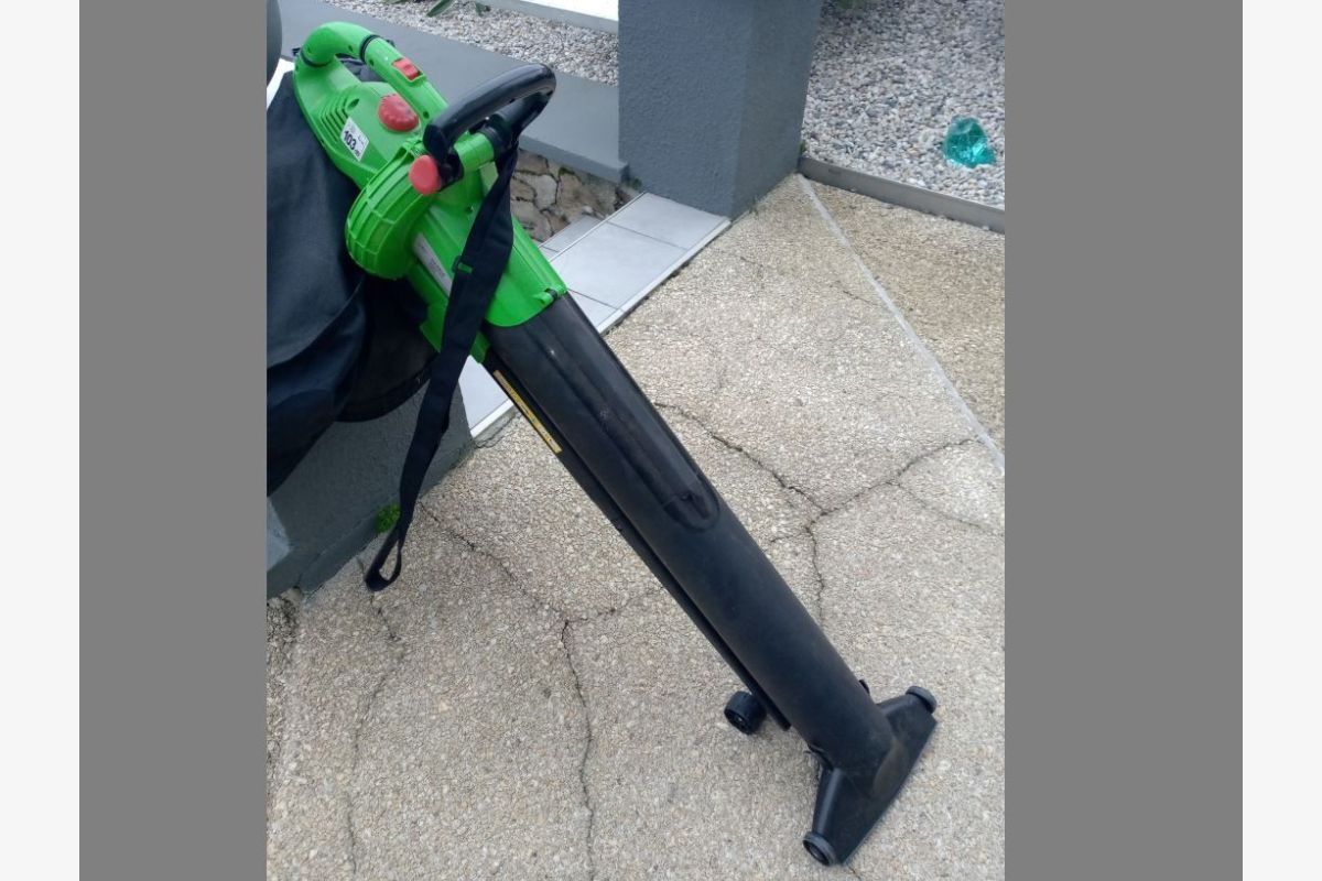 Aspirateur-souffleur