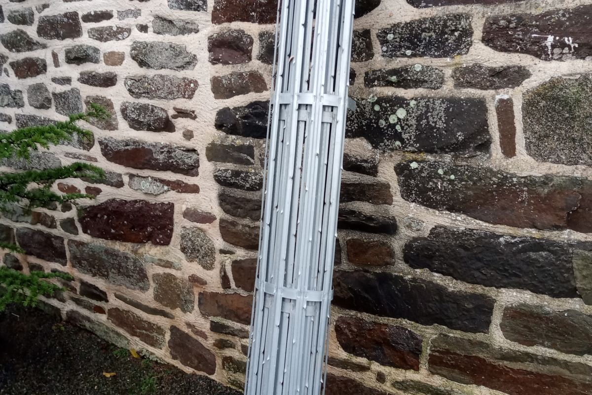 Photo 3 Corsets à pommiers