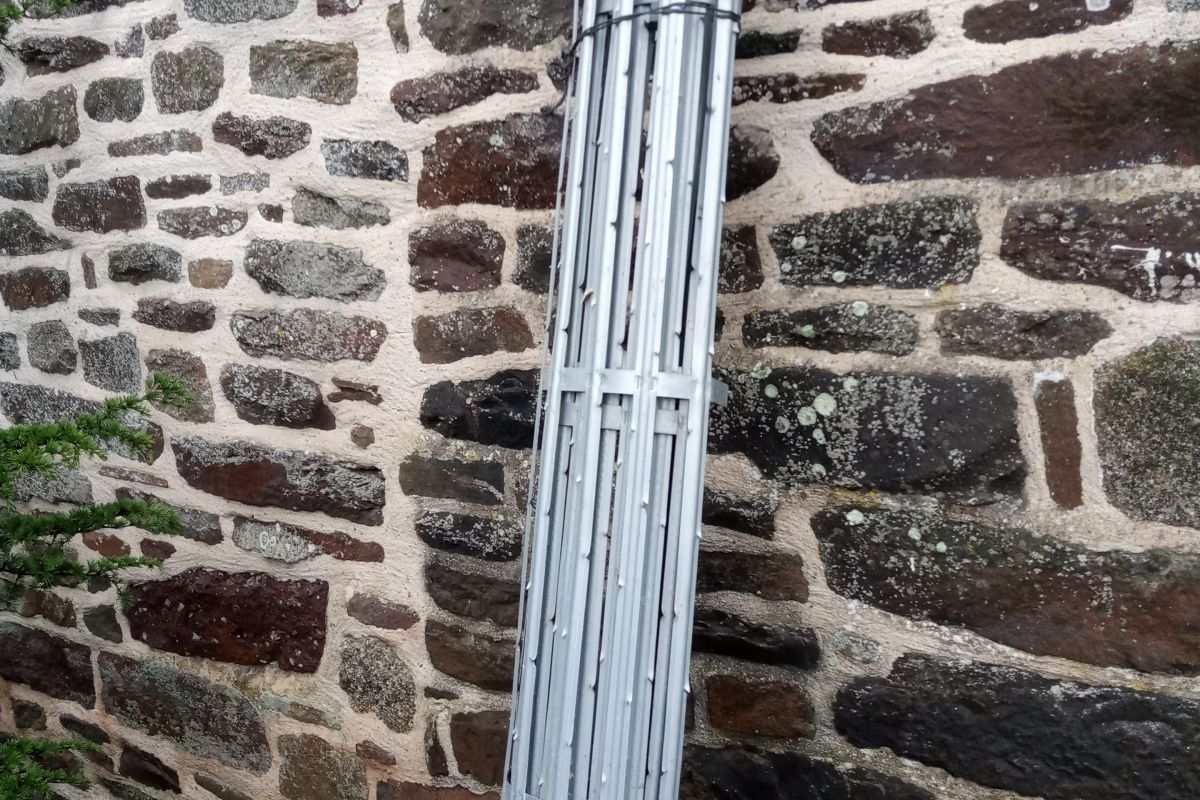 Photo 2 Corsets à pommiers