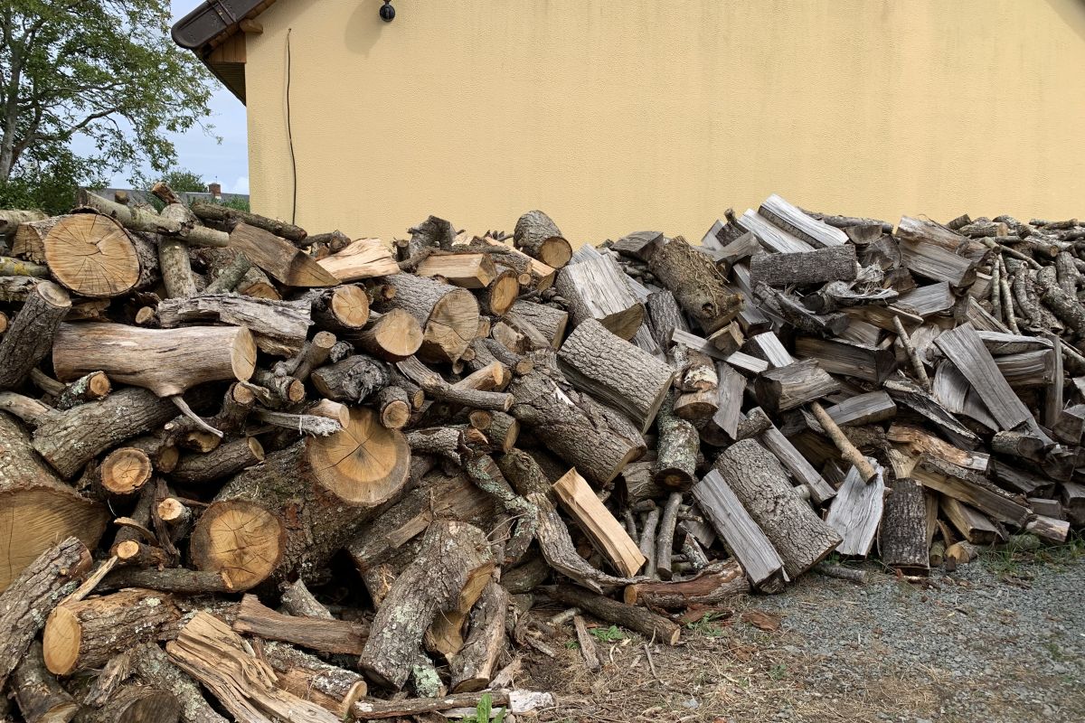 Photo 3 Bois de chauffage