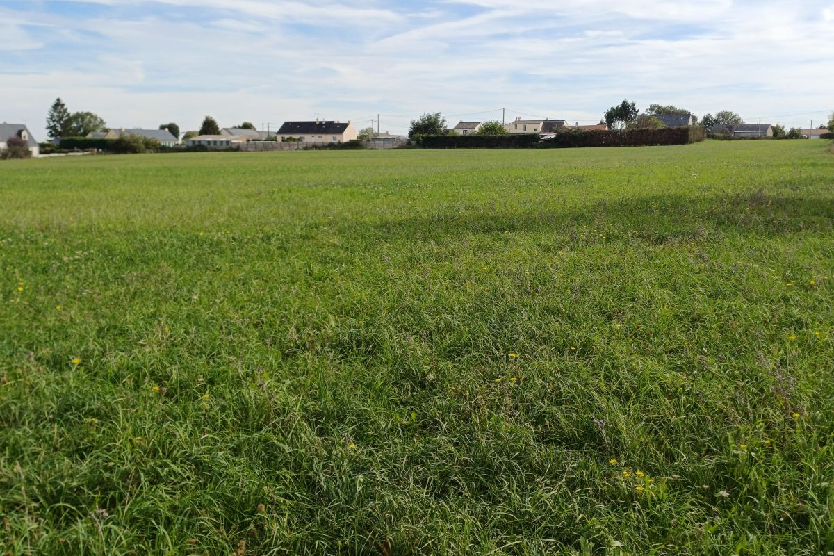 Photo 2 TERRAIN DE LOISIRS 4000 m² aux portes du Poney Club de Pied Bercy