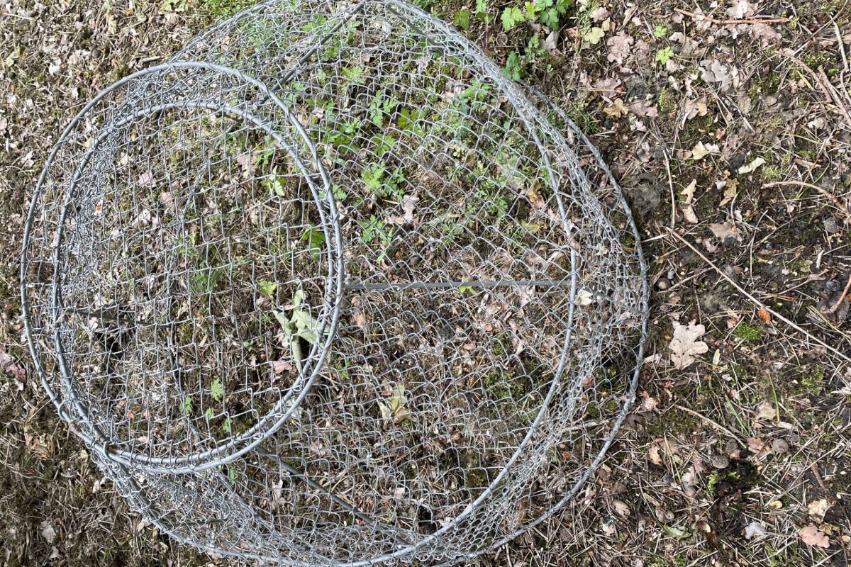 Cloche de protection en grillage à poule