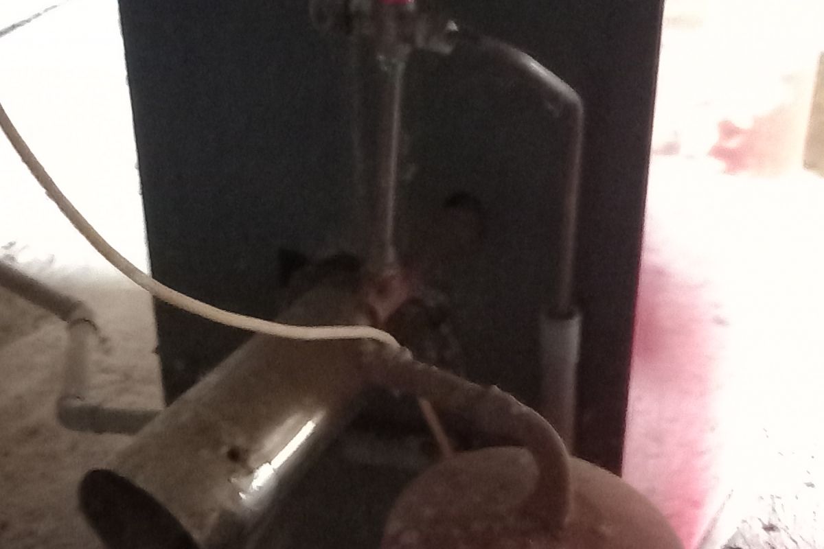 Photo 3 Chaudière à fioul