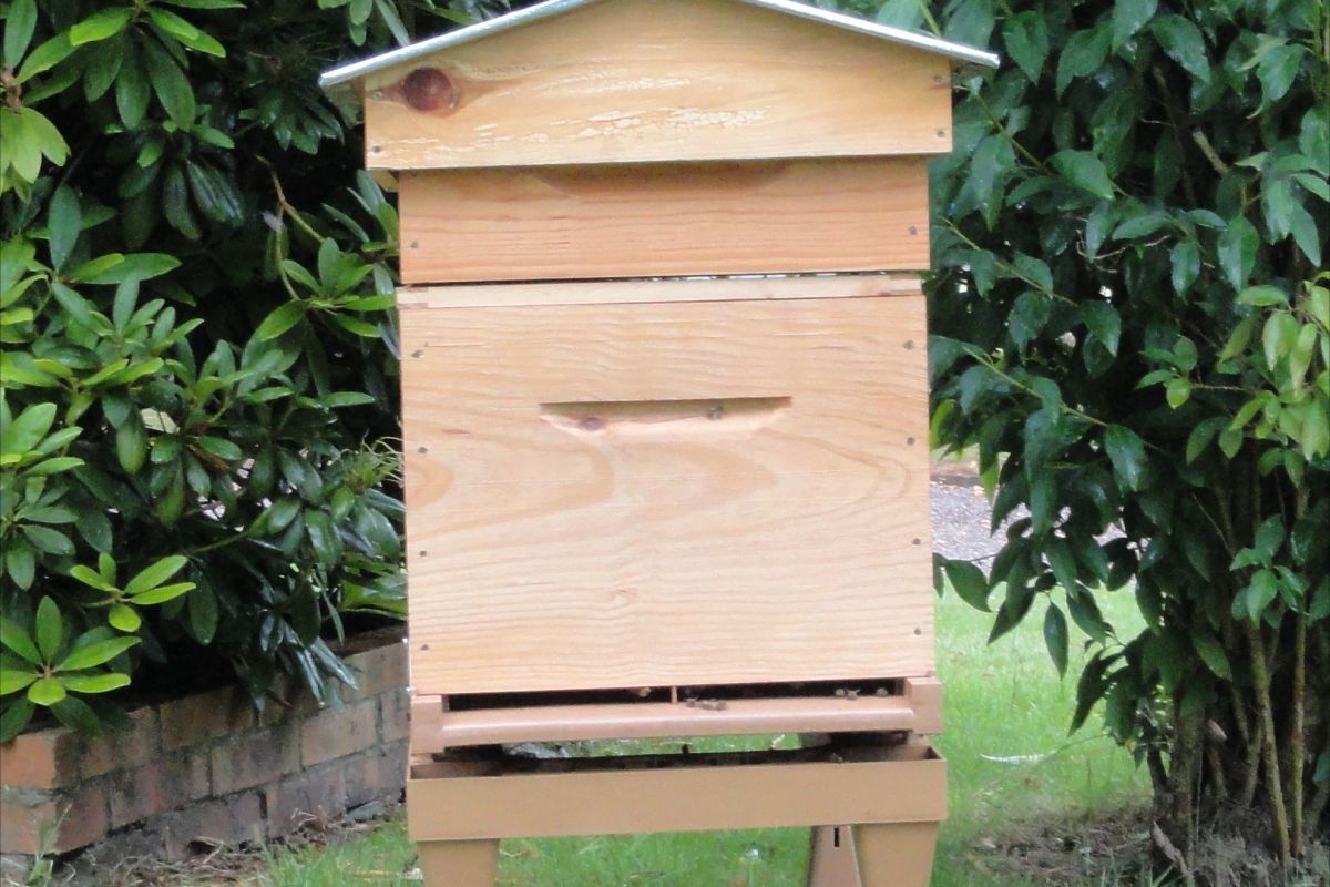 Photo 3 Formation 2026 en apiculture