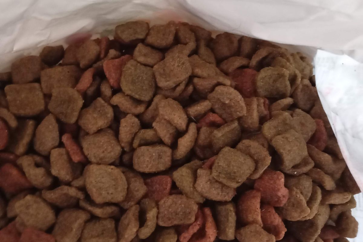 Photo 2 Grande poche FIDO 3 Kilos