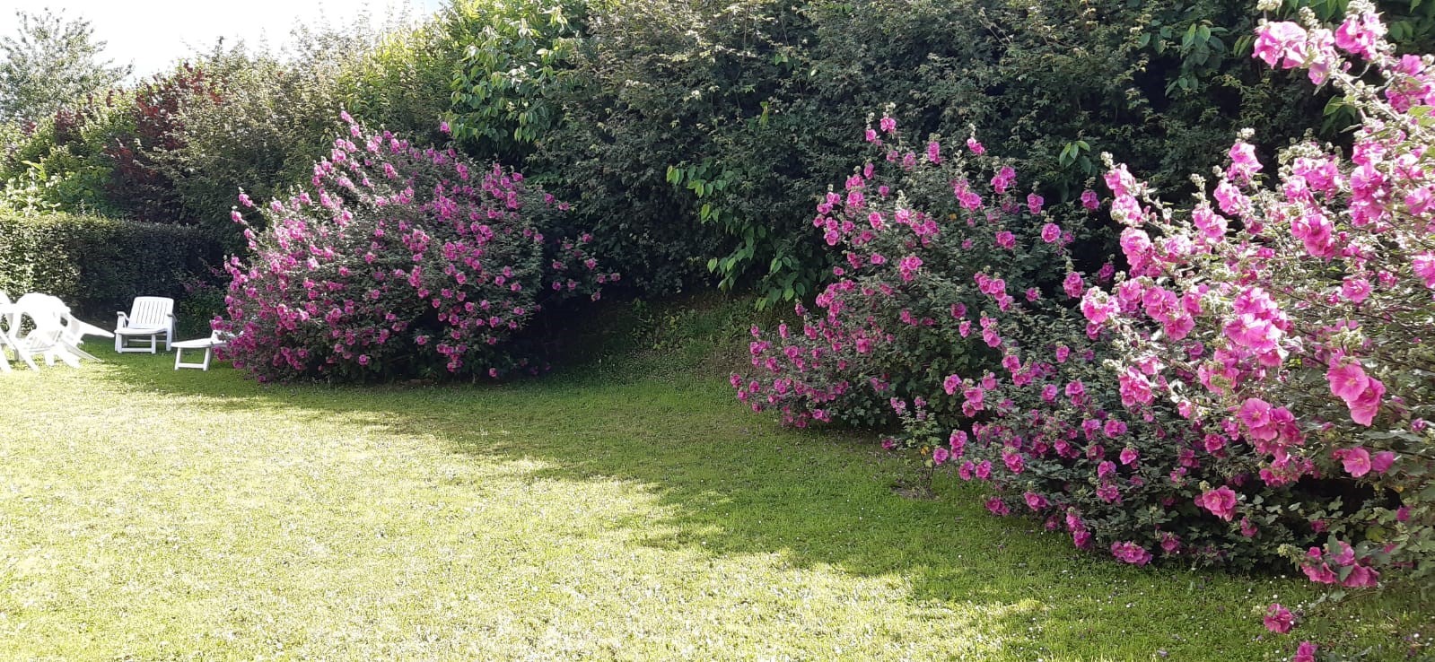 Photo 3 Saint-Lô, à louer maison...