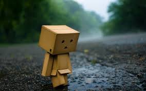 Bois à donner tout de suite