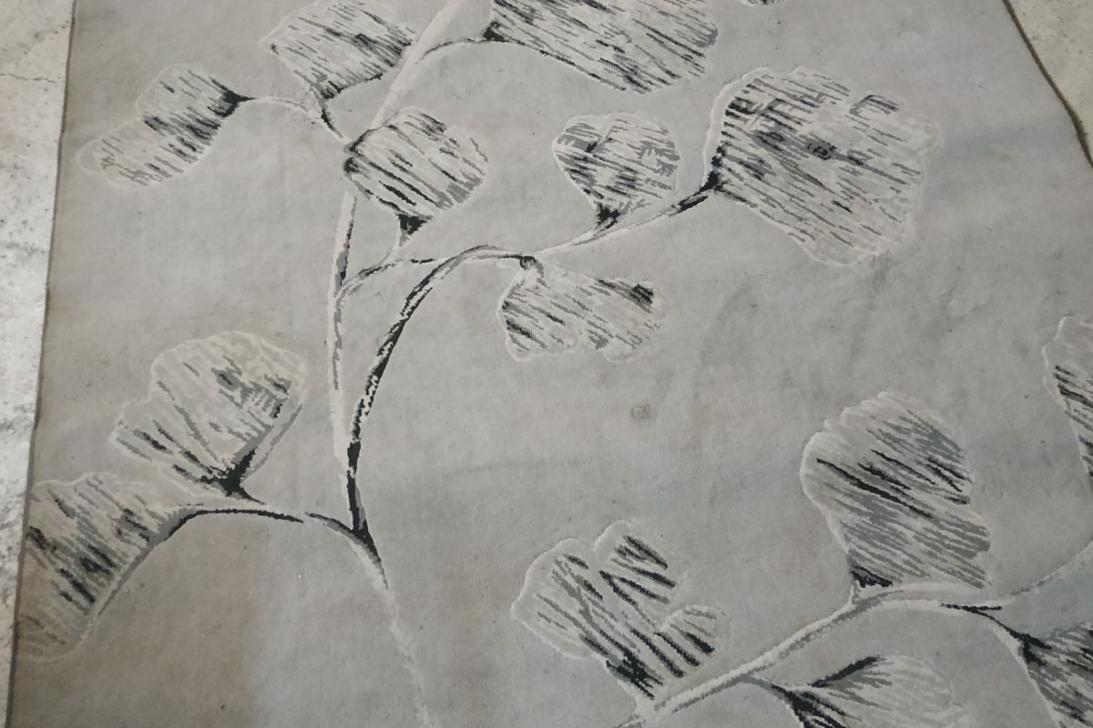 Photo 2  lot 2grands tapis