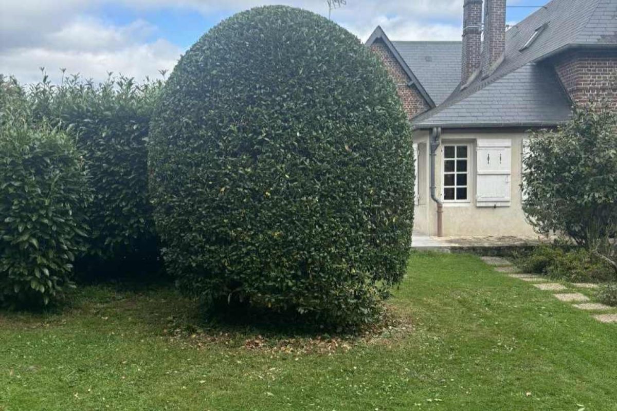 Photo 3 Entretien espace vert 