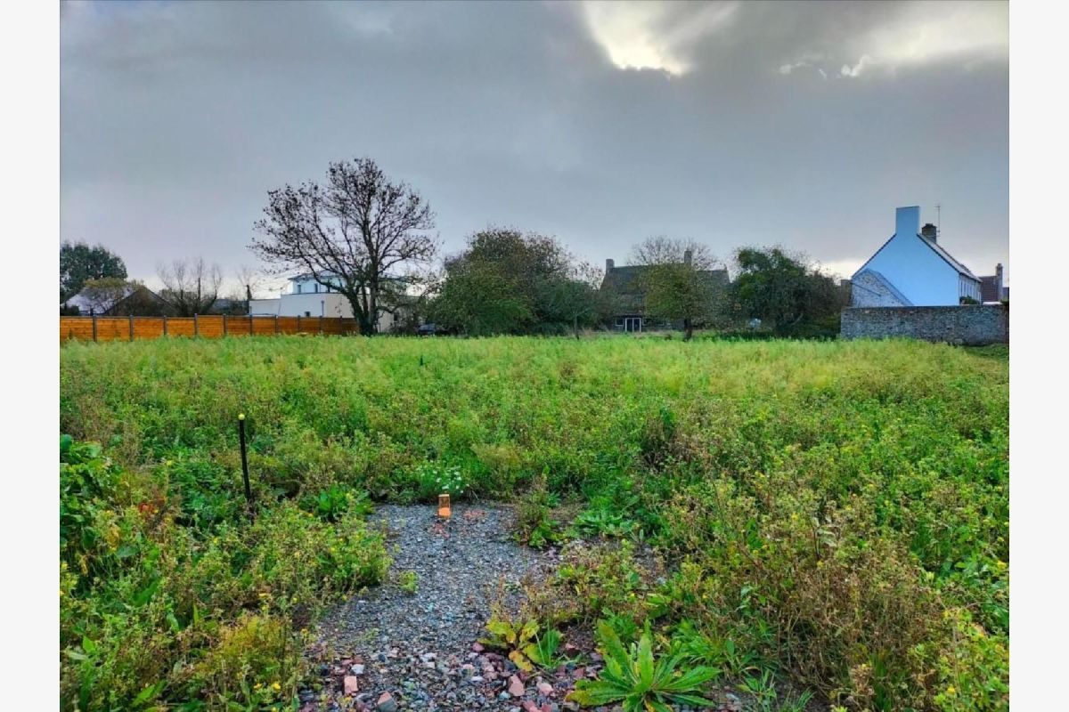 Terrain à bâtir 