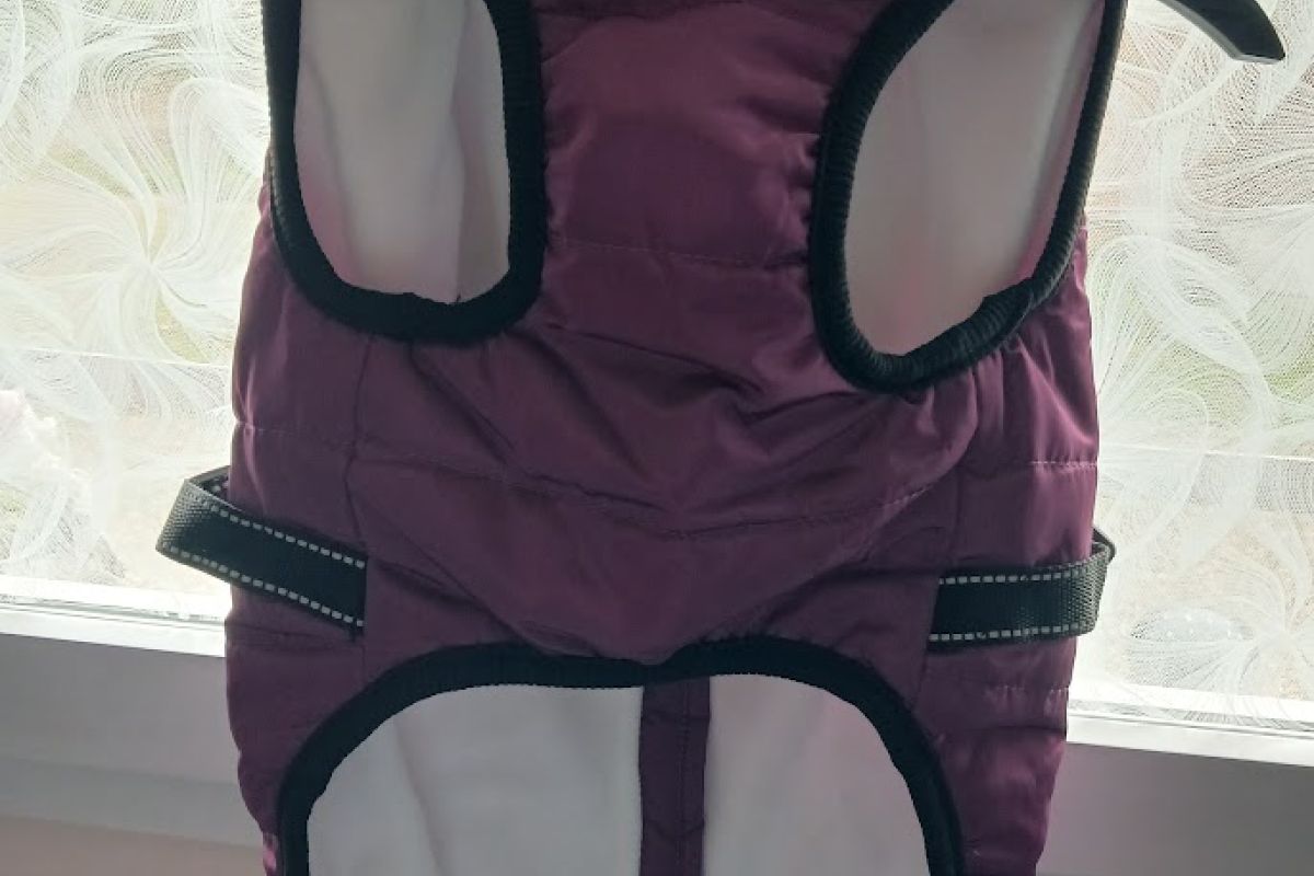 Photo 2 Manteau petit chien