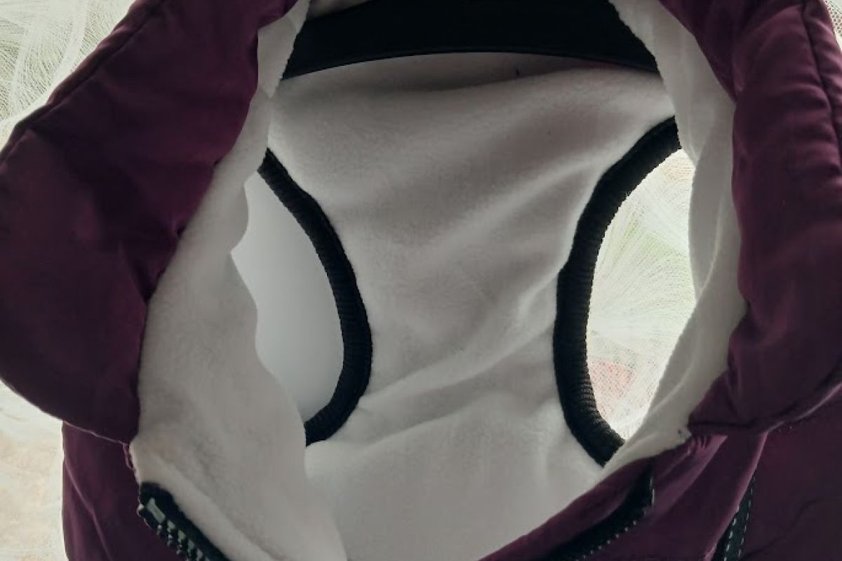 Photo 3 Manteau petit chien