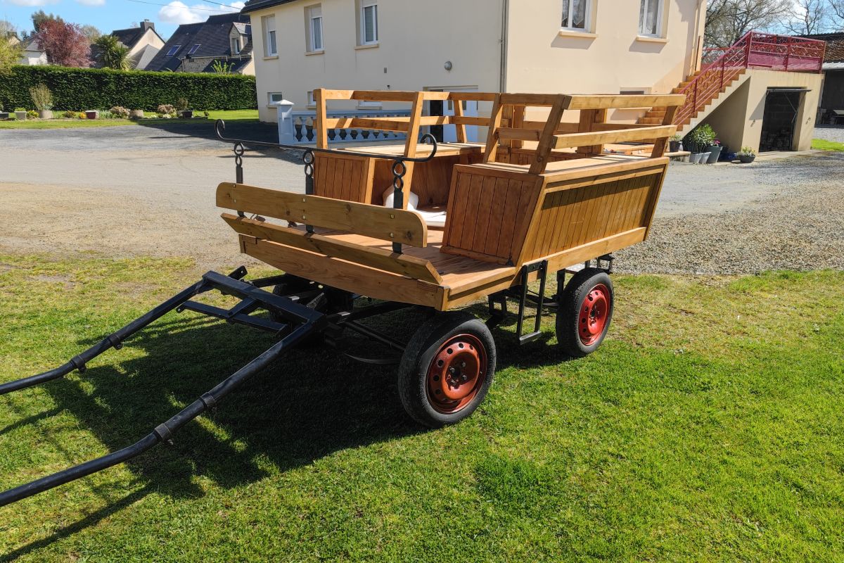 Photo 3 Grande calèche