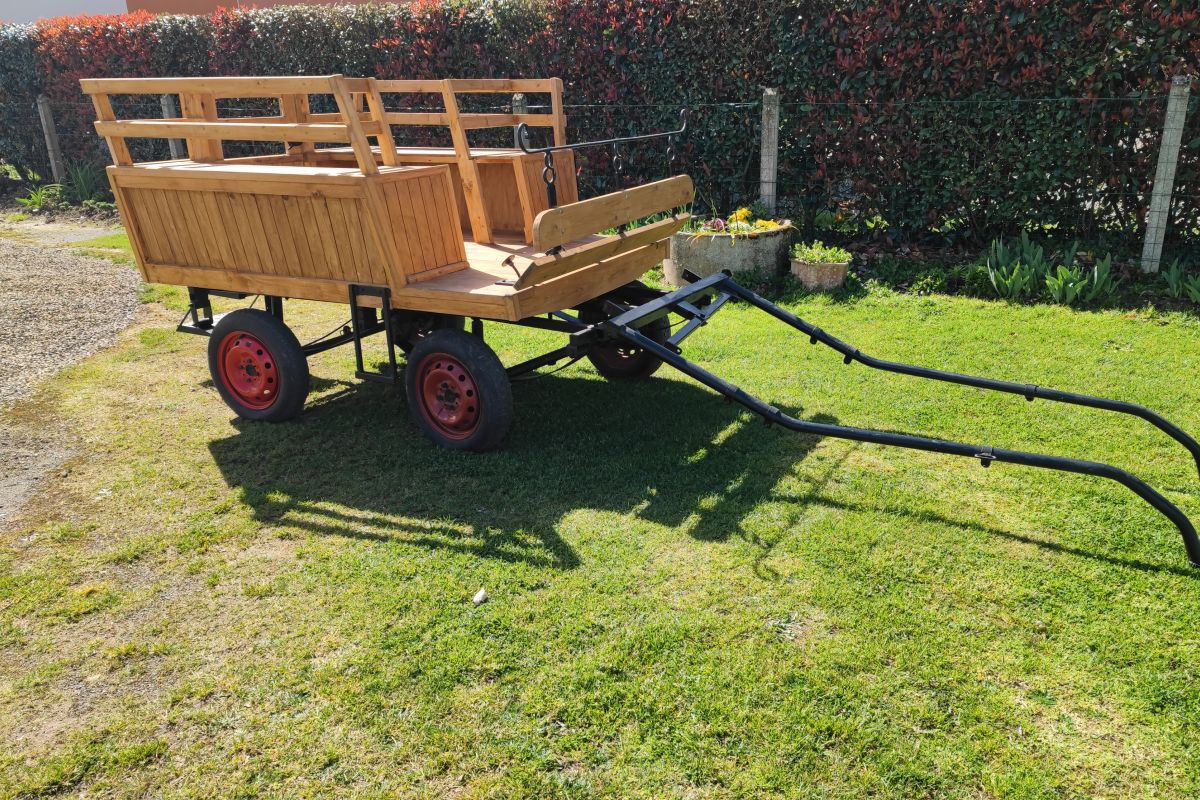 Photo 2 Grande calèche