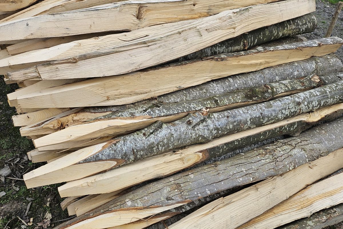 Piquets de châtaignier