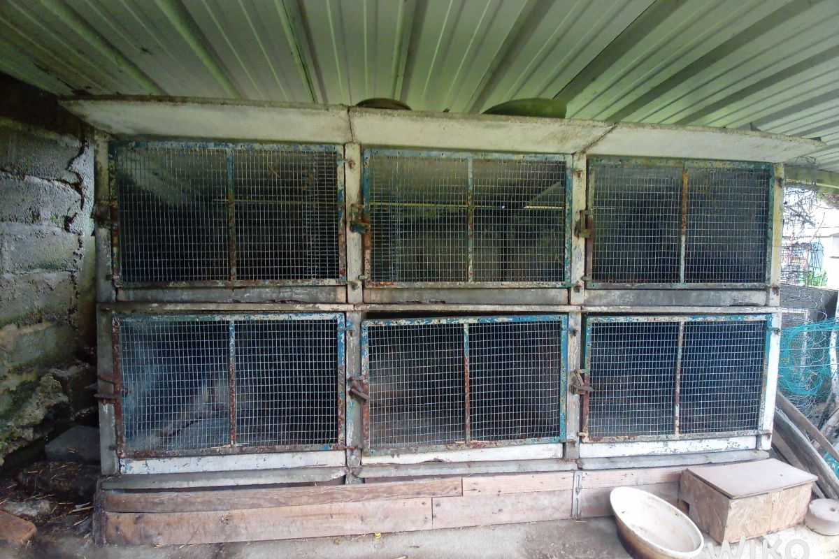 Photo 2 clapier à lapins