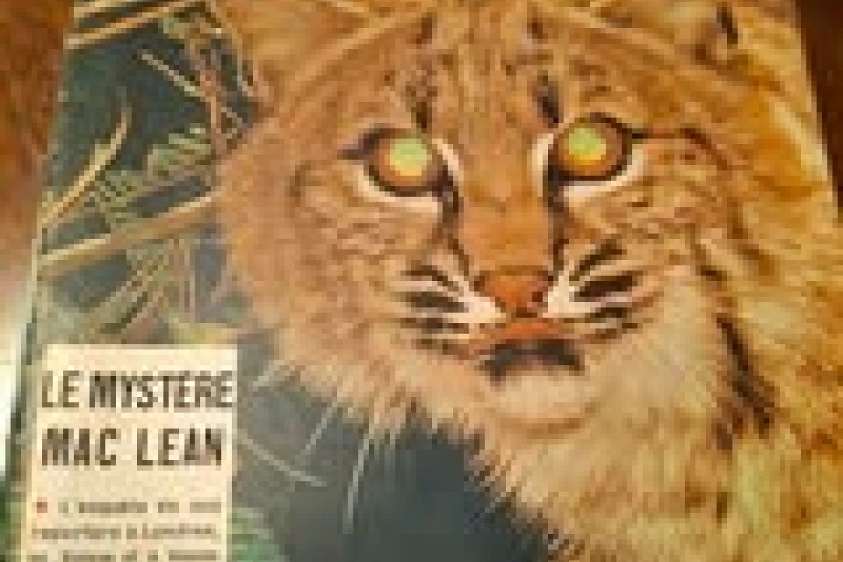 Brocante champêtre 23 et 24 mai à IZIEU ( 01300)