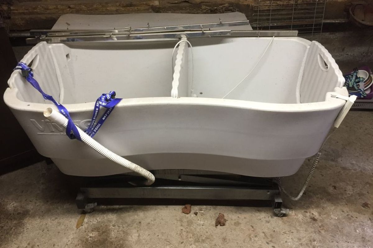 Baignoire professionnelle pour chien/chat
