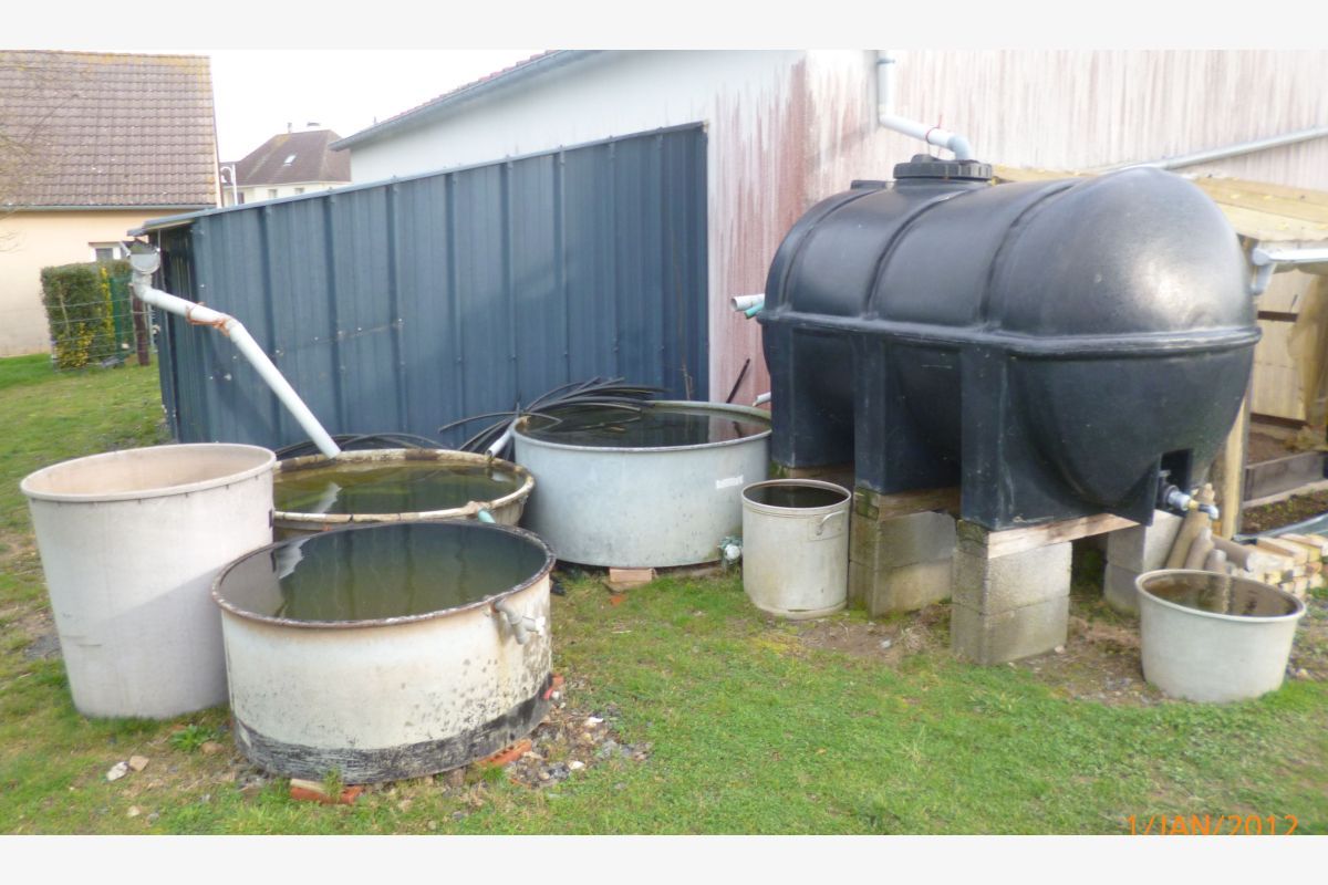Plusieurs bacs à eau